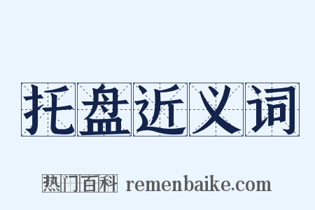 托盘近义词是什么意思的图片